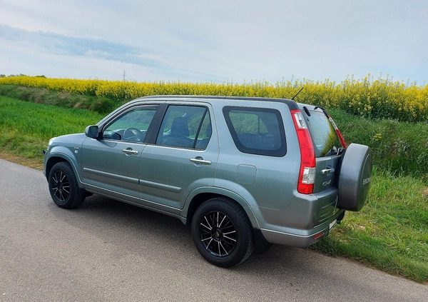 Honda CR-V cena 24500 przebieg: 238000, rok produkcji 2005 z Katowice małe 172